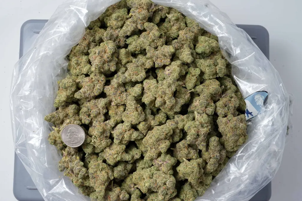 Purple Octane 4-22-26 BAG-2.webp