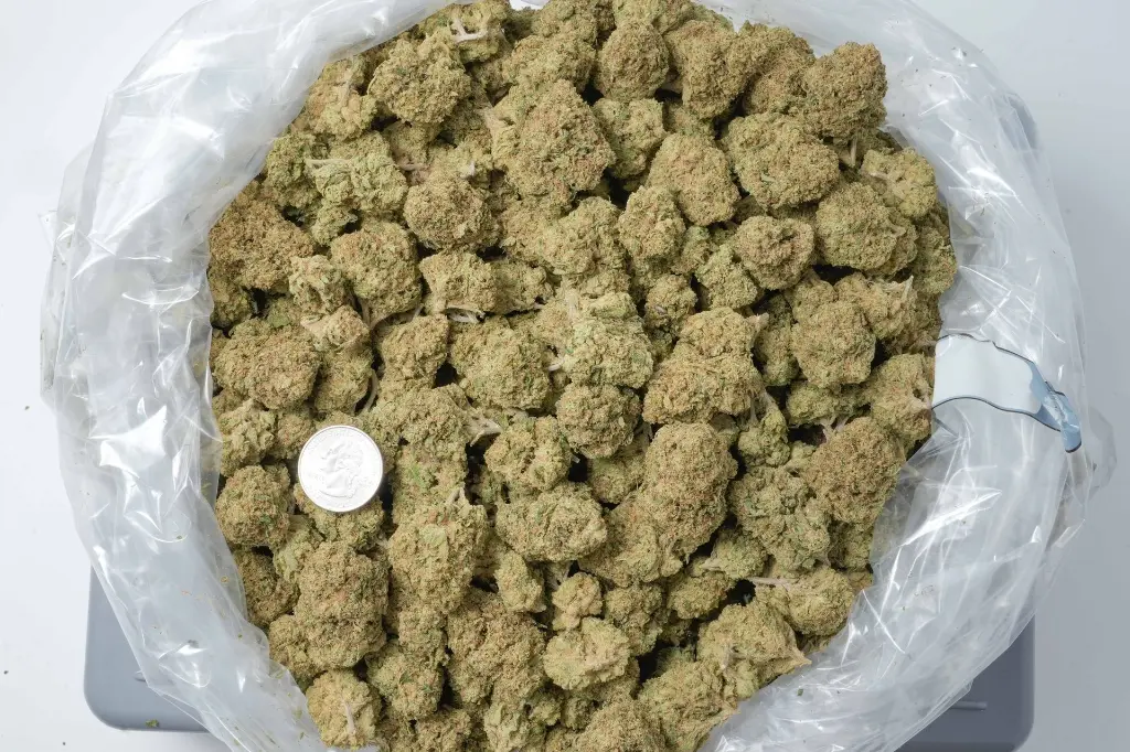 Modified Grapes 4-22-26 BAG-2.webp