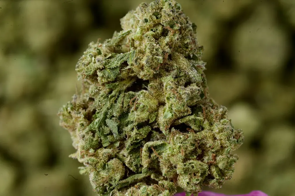 Glazed Donut - 00000003 (1).webp