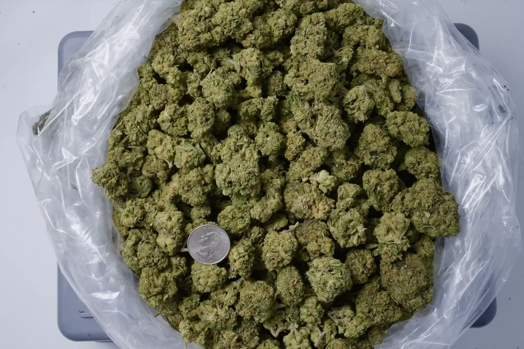 Glazed Donut - 00000001.webp