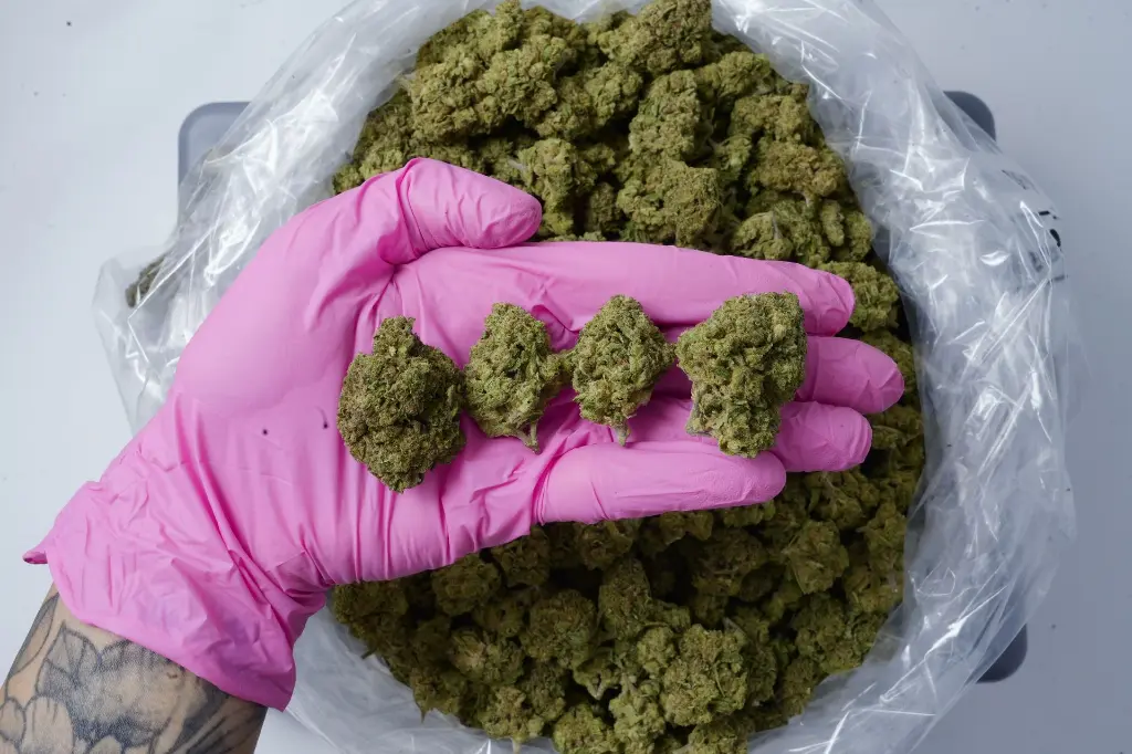 Glazed Donut - 00000004.webp