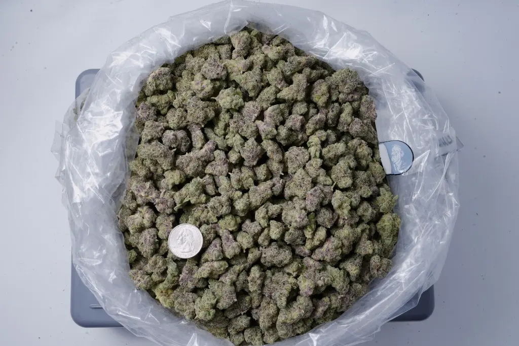 Z Runtz Smalls - 00000001.webp