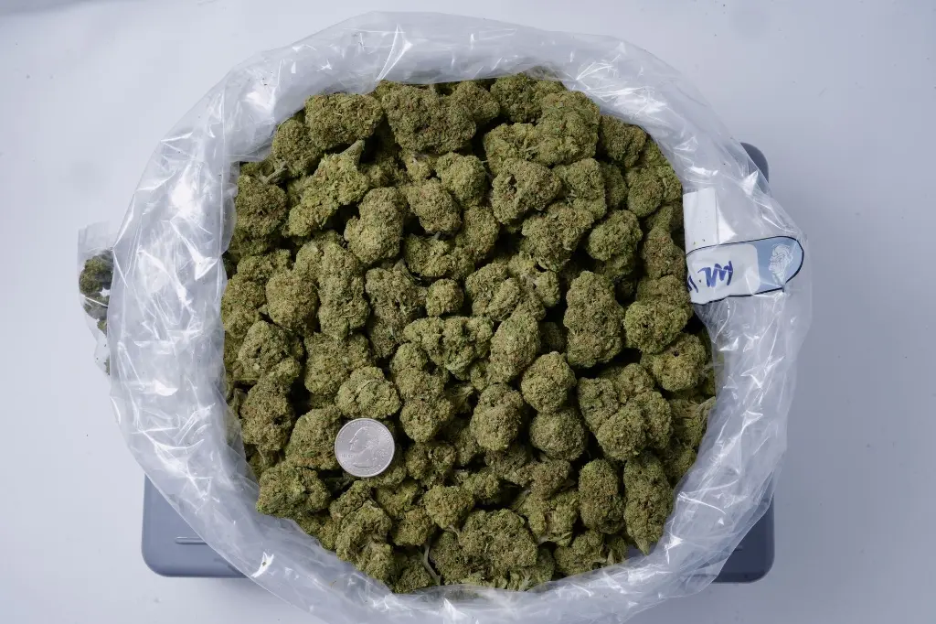 Mr.Nasty - 00000001.webp