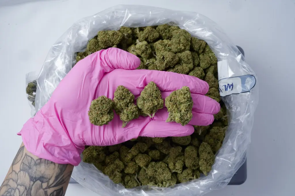 Mr.Nasty - 00000004.webp