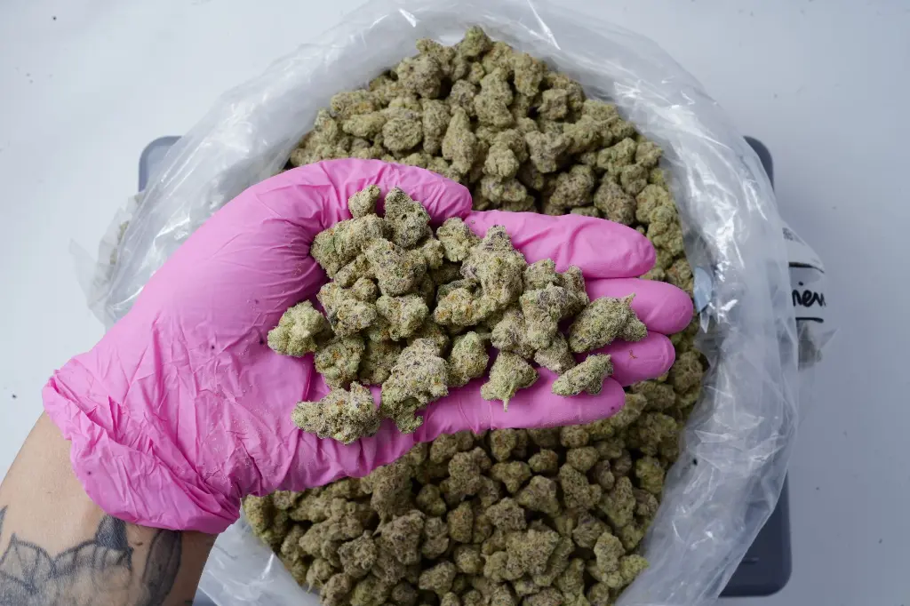 White Linen Smalls - 00000005.webp