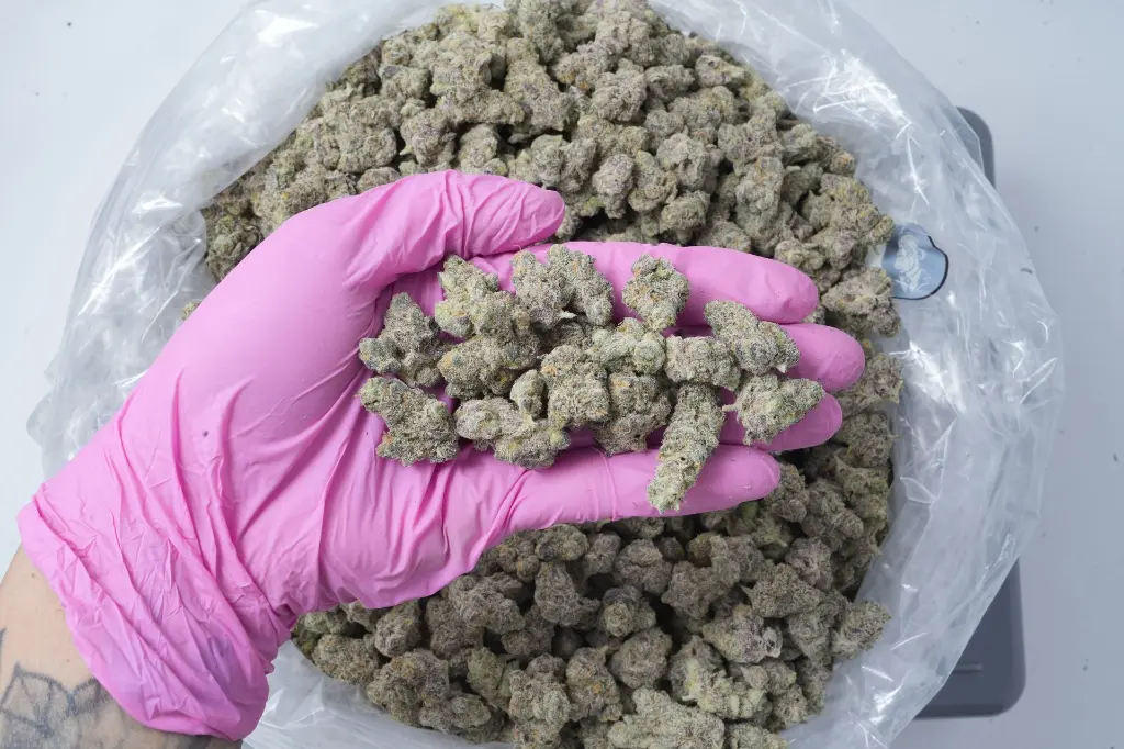 BananaRuntzMeds 4-22-26 PINK.webp