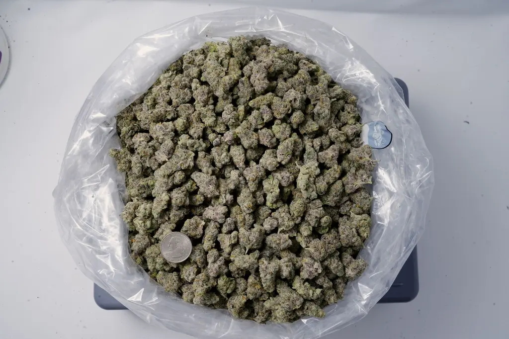 Obama Runtz M - 00000001 (1).webp