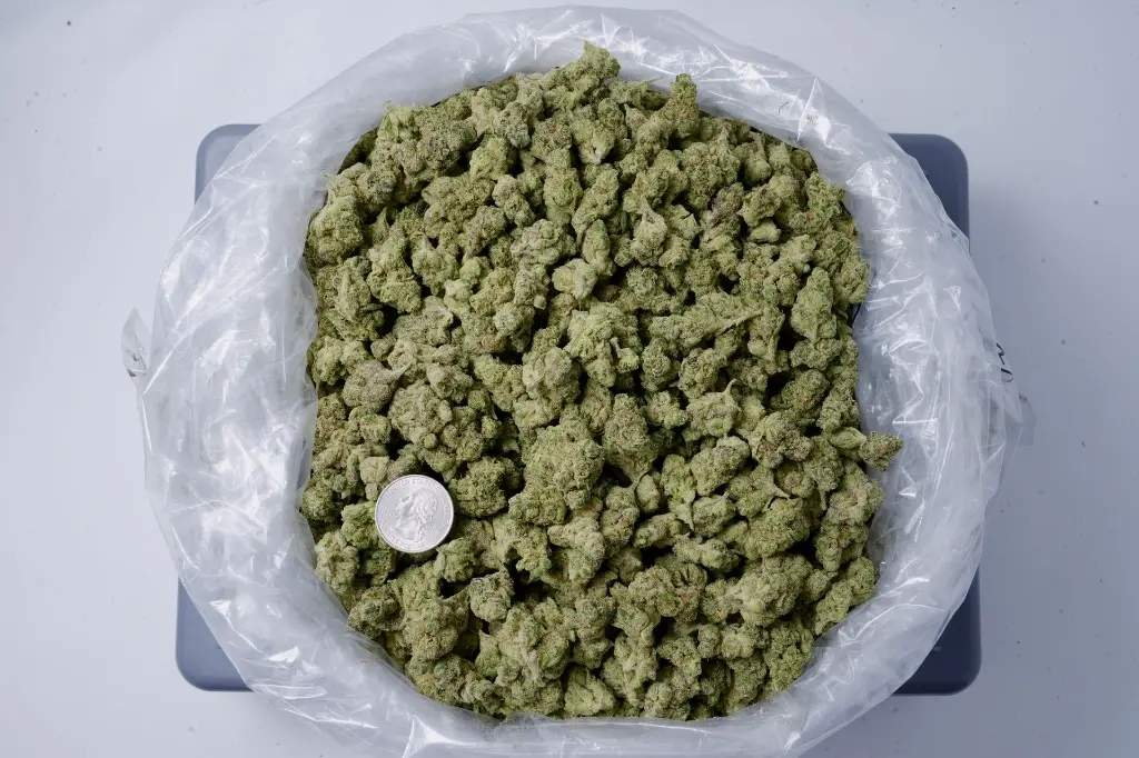 FL Jack Smalls 4-22-26 BAG Edit - 00000002.webp