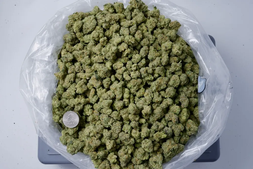 Chem Cake Smalls 4-22-26 BAGGPS Edit - 00000002.webp