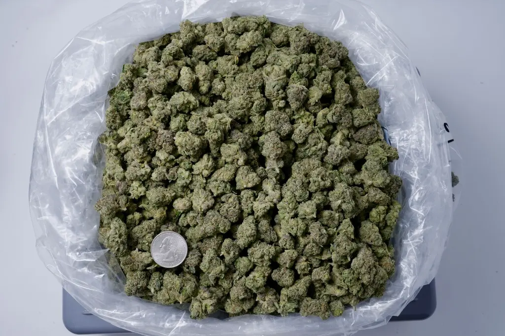 Candy Bezel 4-23-26 BAG Edit - 00000001.webp