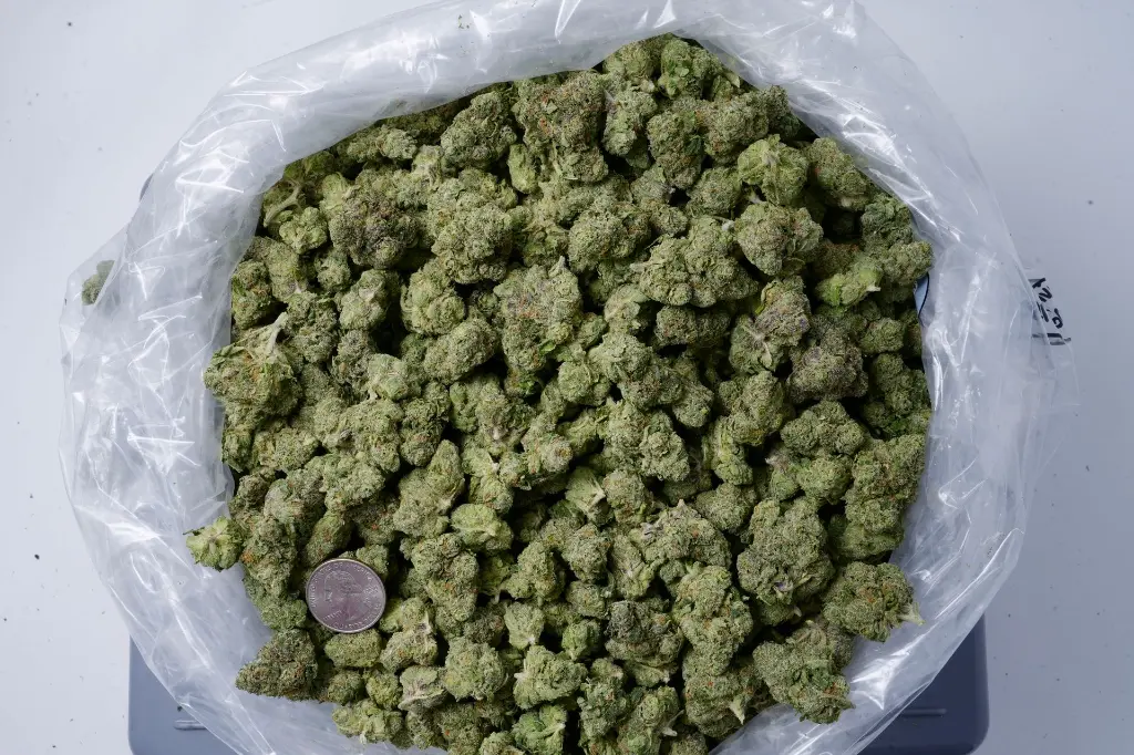 Lemon Cherry Gelato Small 4-22-26 BAG Edit - 00000001.webp