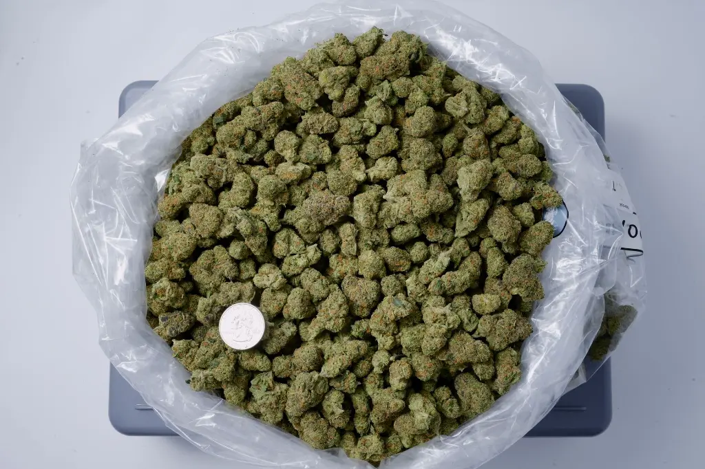 GRAPECHATA SMALLS 4-23-26 BAG Edit - 00000001.webp