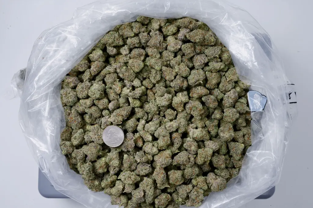 BlueberryPave Small 4-23-26 BAG Edit - 00000001.webp