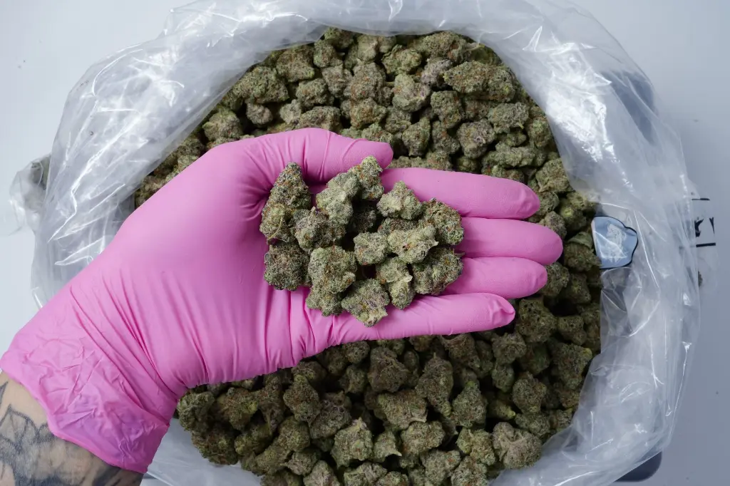 BlueberryPave Small 4-23-26 PINK Edit - 00000004.webp