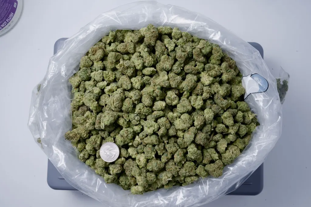 Caked Up Meds 4-23-26 BAG - 00000001.webp