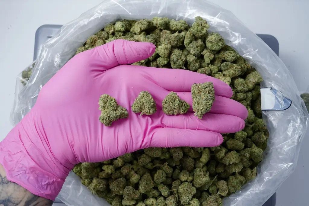 Caked Up Meds 4-23-26 PINK - 00000005.webp