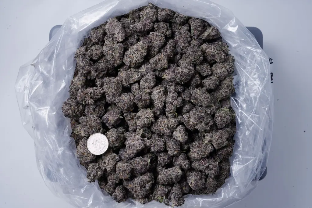 Blockberry 4-24-26 BAG.JPG Edit - 00000001.webp