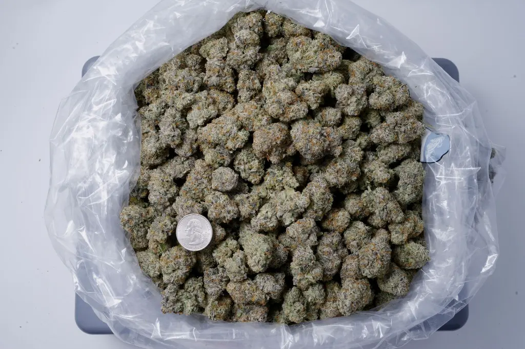 White Diesal 4-24-26 BAG.JPGedit - 00000001.webp