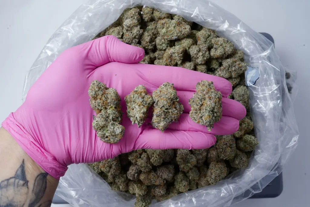 White Diesal 4-24-26 PINK.JPGedit - 00000004.webp