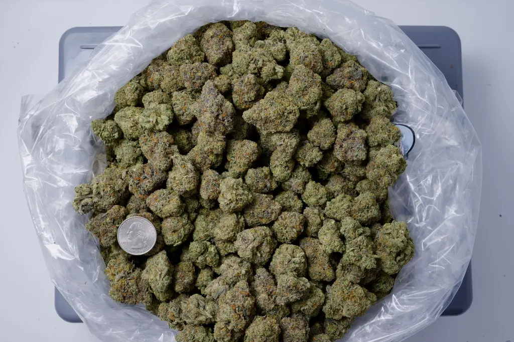 Gorilla Breath 4-24-26 BAG.JPG Edit - 00000001.webp