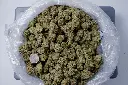 Gorilla Breath 4-24-26 BAG.JPG Edit - 00000001.webp