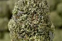 Black Ice Macro 4-27-26jpg (1).webp