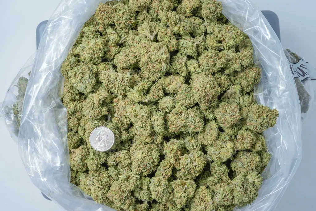 Pure Kush 4-30-26 BAG.webp