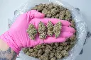 Purple Cheddar PINK 4-30-26.webp