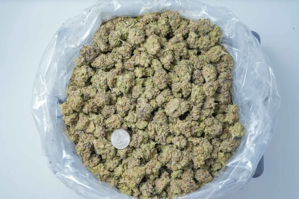 Sherb Scotty BAG 4-30-26.webp
