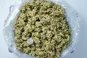 Original Glue BAG 4-30-26.webp