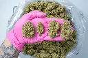 Original Glue PINK 4-30-26.webp