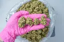 Amaretto Sour PINK 4-30-26.webp