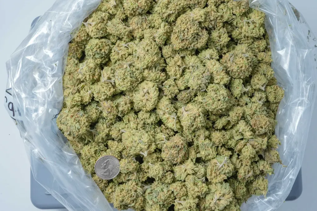 Amaretto Sour BAG 4-30-26.webp