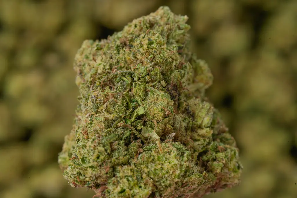 Secret Weapon MACRO 4-30-26.webp