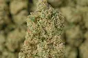 Nimbus Snacks MACRO 4-30-26.webp