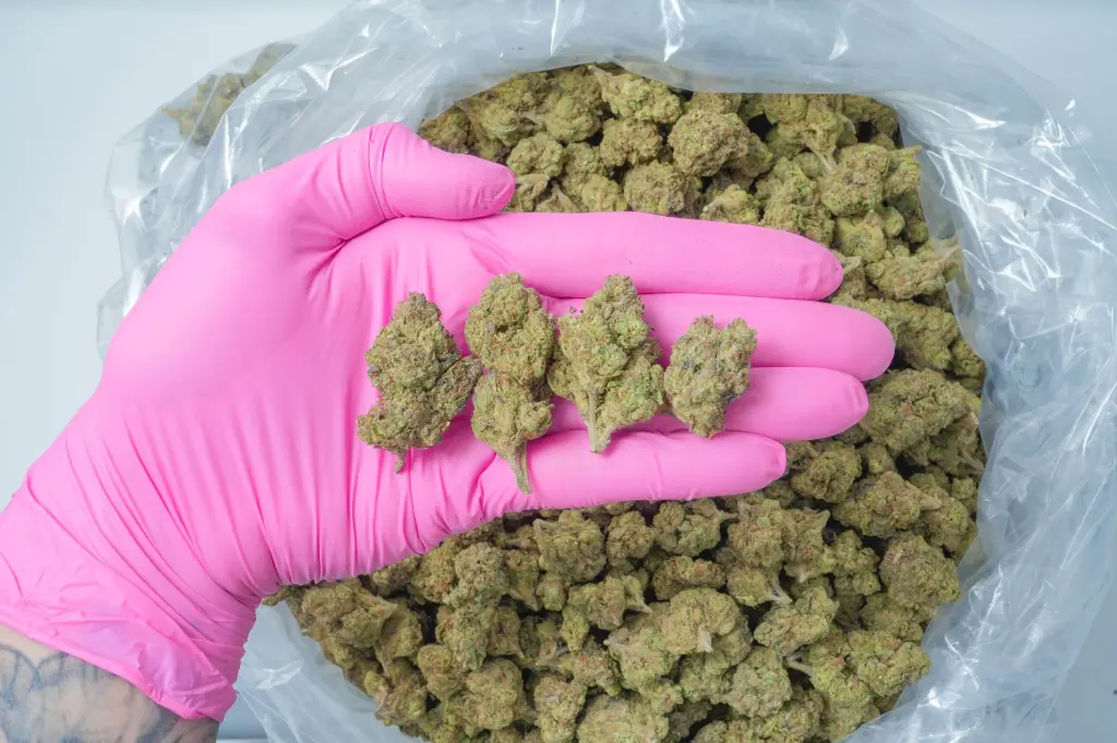 Falcon 9 OG PINK (1).webp
