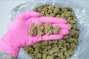 Falcon 9 OG PINK (1).webp