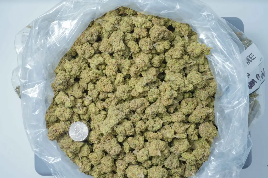 FALCON 9 OG BAG (1).webp