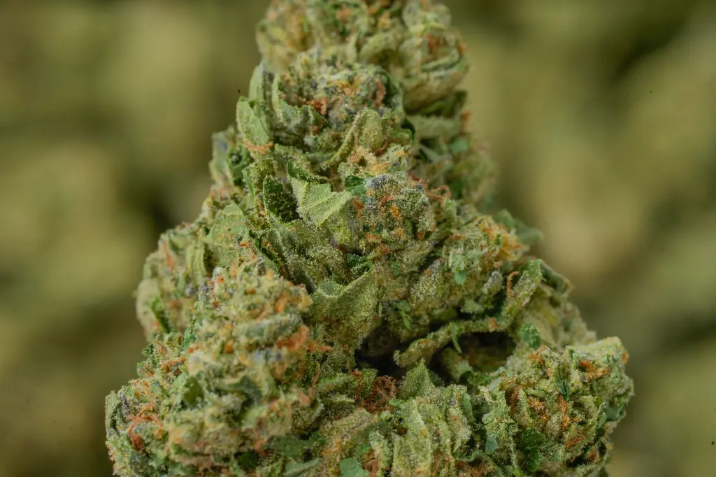 Falcon 9 OG MACRO.webp