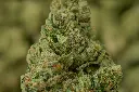 Falcon 9 OG MACRO.webp