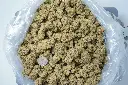 Diablo BAG 4-30-26.webp