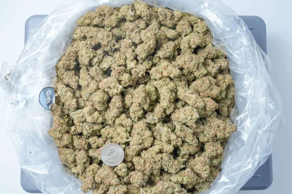 Kush Crasher BAG 4-30-26.webp