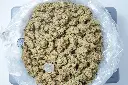 Kush Crasher BAG 4-30-26.webp