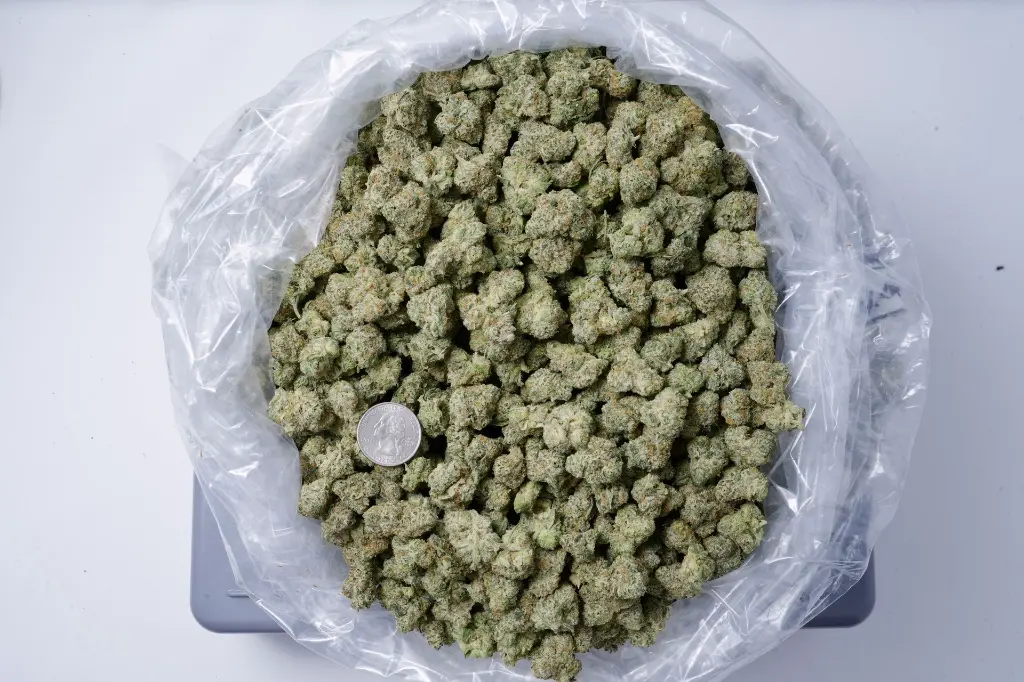 Lemonatti Meds 5-4-26 BAG Edit - 00000002.webp