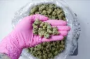 Lemonatti Meds 5-4-26 PINK Edit - 00000004.webp