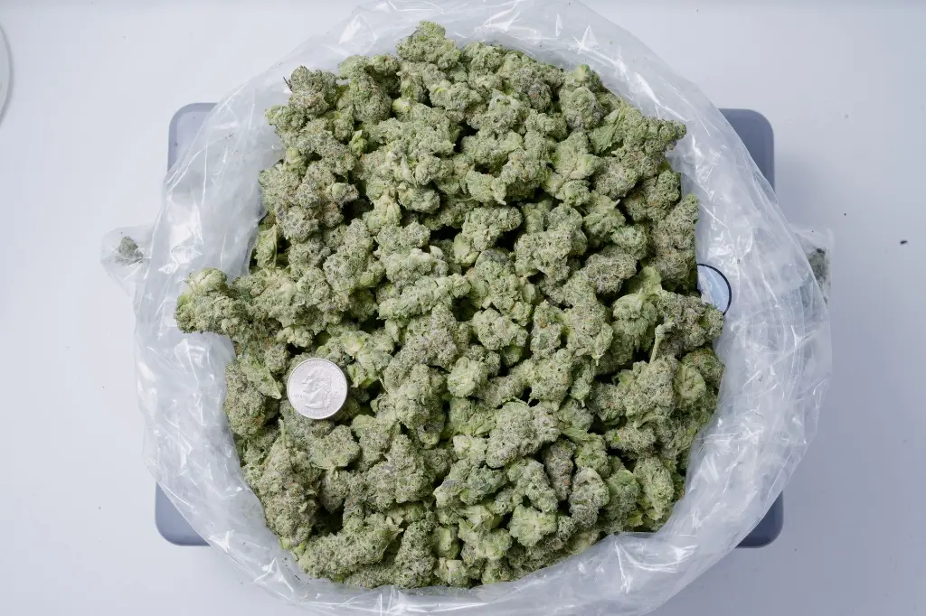 Bananaconda Meds 5-4-26 BAG Edit - 00000001.webp