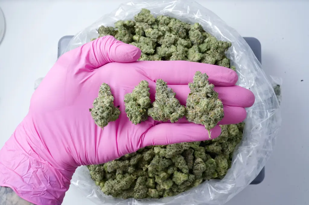 Bananaconda Meds 5-4-26 PINK Edit - 00000004.webp