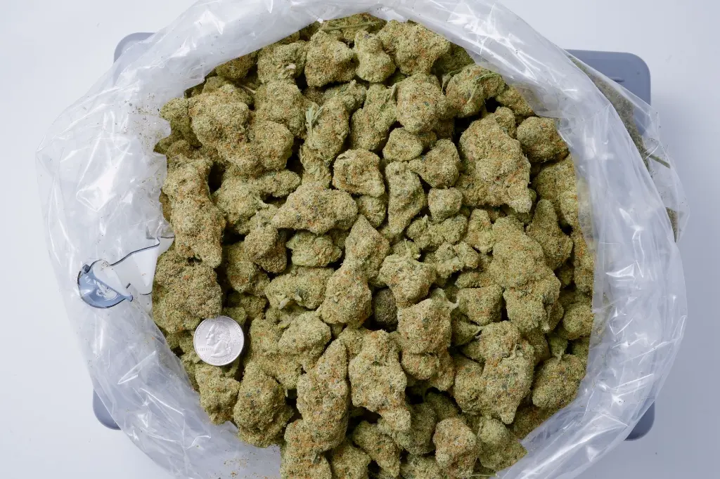 PLatinum OG 5-5-26 BAG Edit - 00000002.webp