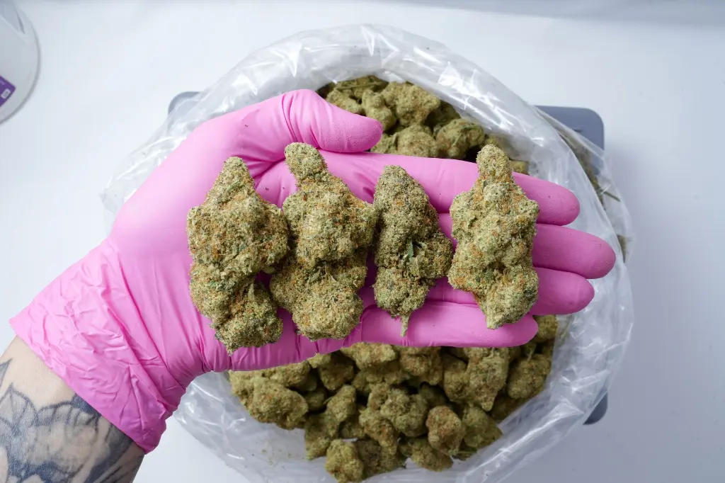 Platinum OG 5-5-26 PINK Edit - 00000003.webp