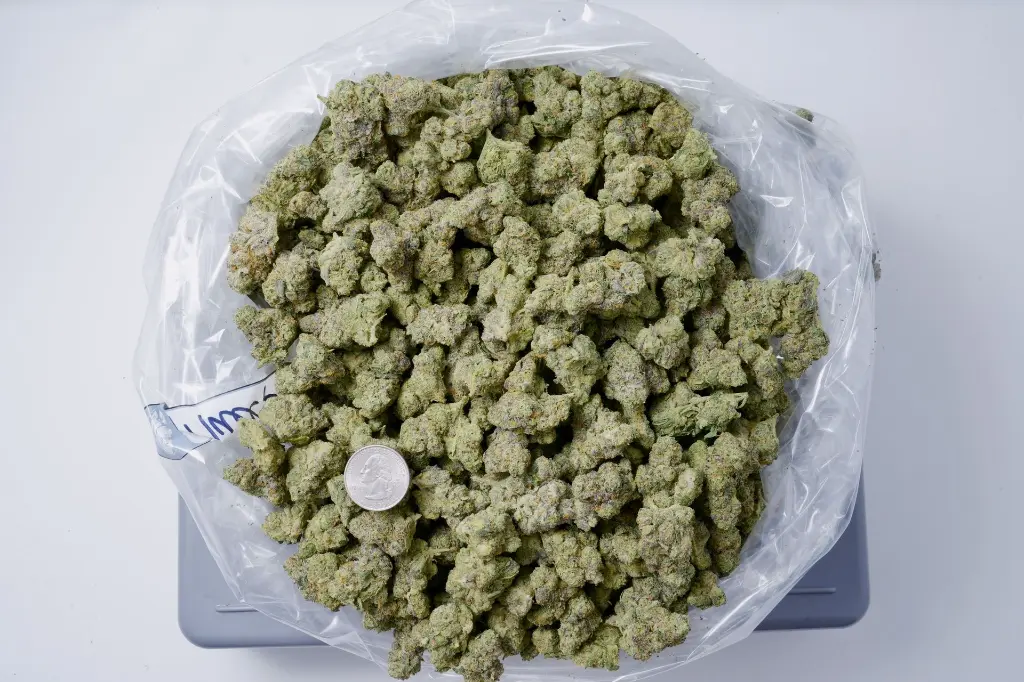 Muel Fuel 5-5-26 BAG Edit - 00000001.webp